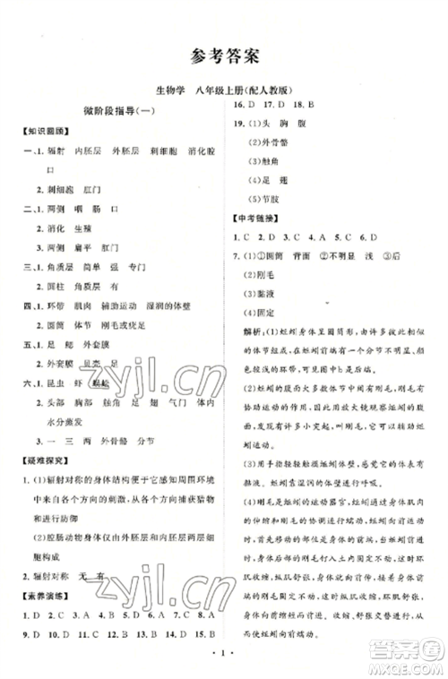 山东教育出版社2022初中同步练习册分层卷八年级生物学上册人教版参考答案