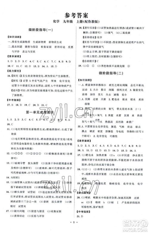 山东教育出版社2022初中同步练习册分层卷九年级化学上册鲁教版参考答案