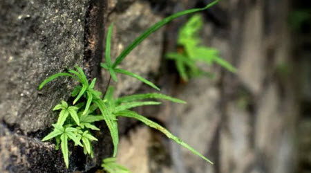 那个角落为题作文600字 关于那个角落为题的作文600字 那个角落为题作文600字 关于那个角落为题的作文600字