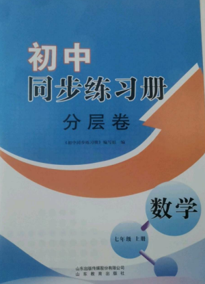 山东教育出版社2022初中同步练习册分层卷七年级数学上册青岛版参考答案