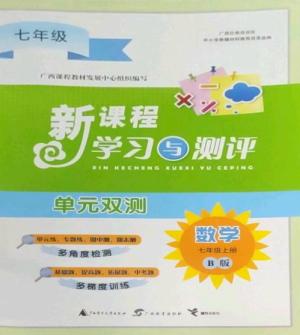 广西师范大学出版社2022新课程学习与测评单元双测七年级数学上册湘教版B版参考答案