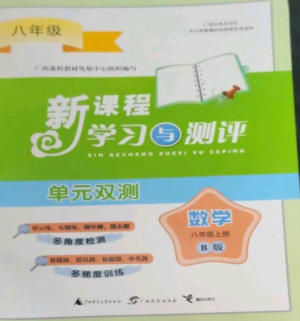 广西师范大学出版社2022新课程学习与测评单元双测八年级数学上册湘教版B版参考答案