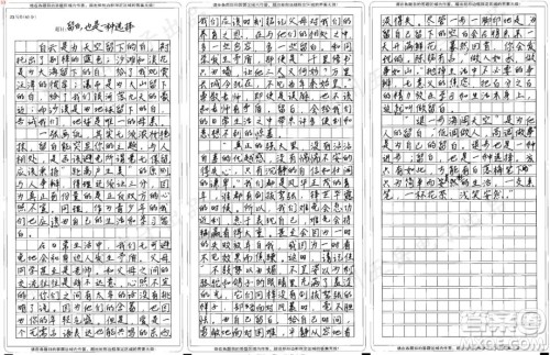 留白主题作文800字 关于留白的主题作文800字 留白主题作文800字 关于留白的主题作文800字