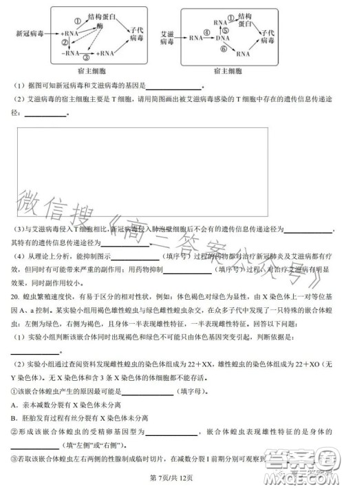 雅礼中学2023届高三月考四生物试卷答案 雅礼中学2023届高三月考四生物试卷答案