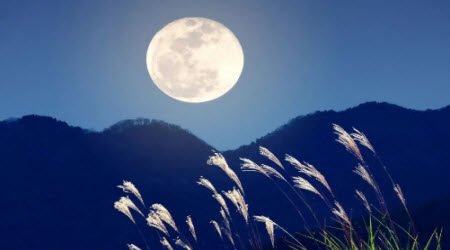 给时间的一封信作文400字 关于给时间写封信作文400字 给时间的一封信作文400字 关于给时间写封信作文400字