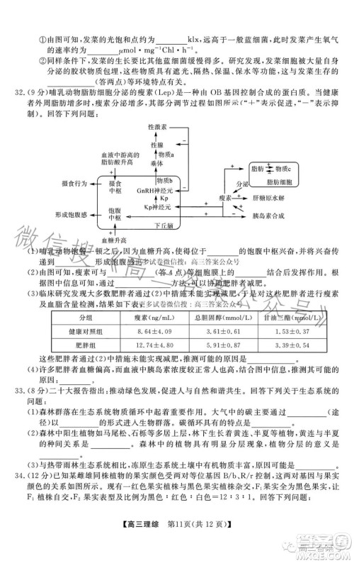 2022-2023学年金科大联考高三12月质量检测理科综合试卷答案 2022-2023学年金科大联考高三12月质量检测理科综合试卷答案