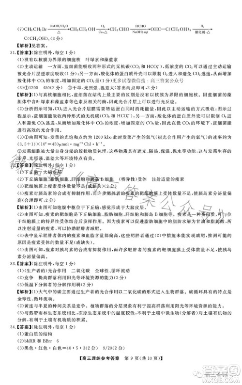 2022-2023学年金科大联考高三12月质量检测理科综合试卷答案 2022-2023学年金科大联考高三12月质量检测理科综合试卷答案