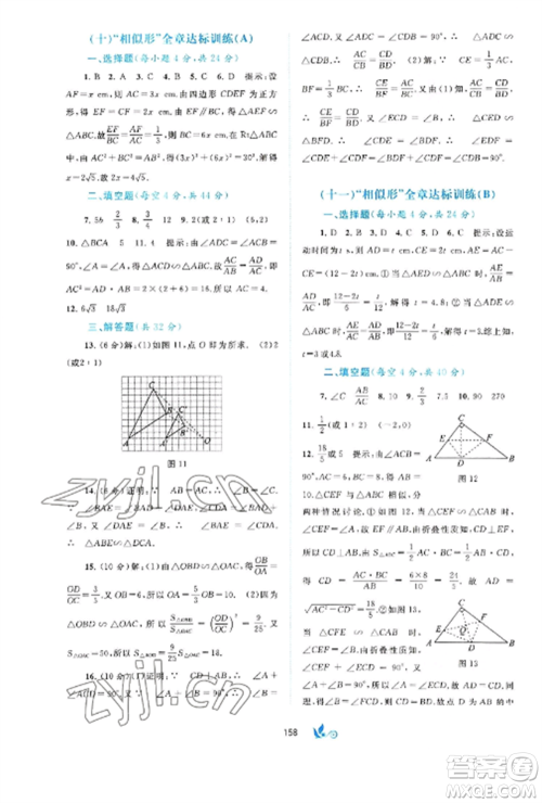 广西师范大学出版社2022新课程学习与测评单元双测九年级数学全册沪科版C版参考答案