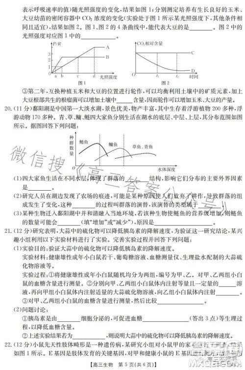 2023金太阳高三12月联考23-180C生物试卷答案 2023金太阳高三12月联考23-180C生物试卷答案