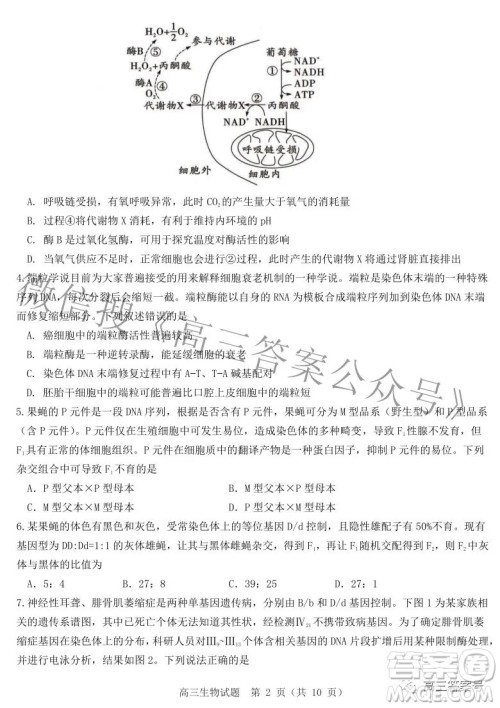山东中学联盟2020级高三12月百校大联考生物试卷答案 山东中学联盟2020级高三12月百校大联考生物试卷答案