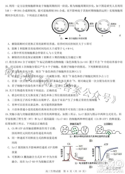 山东中学联盟2020级高三12月百校大联考生物试卷答案 山东中学联盟2020级高三12月百校大联考生物试卷答案