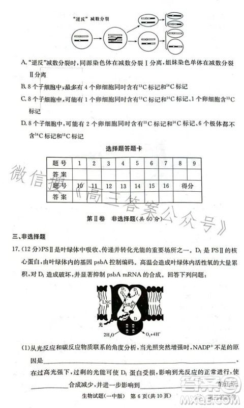 长沙市一中2023届高三月考试卷四生物试卷答案 长沙市一中2023届高三月考试卷四生物试卷答案
