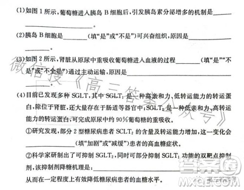 长沙市一中2023届高三月考试卷四生物试卷答案 长沙市一中2023届高三月考试卷四生物试卷答案