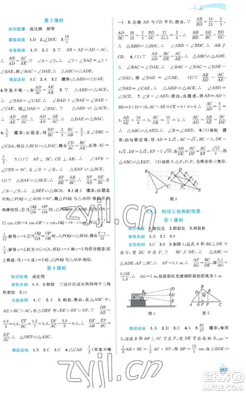 广西教育出版社2022新课程学习与测评同步学习九年级数学全册湘教版参考答案