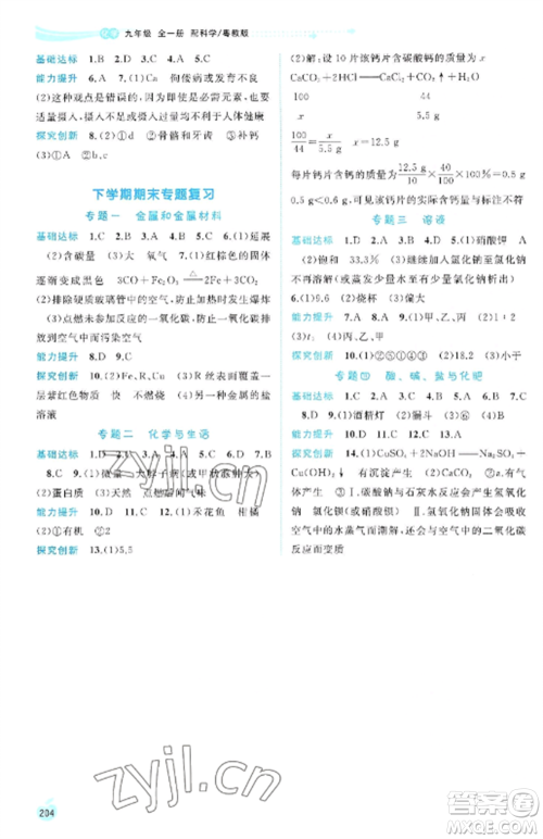 广西教育出版社2022新课程学习与测评同步学习九年级化学全册科粤版参考答案 广西教育出版社2022新课程学习与测评同步学习九年级化学全册科粤版参考答案