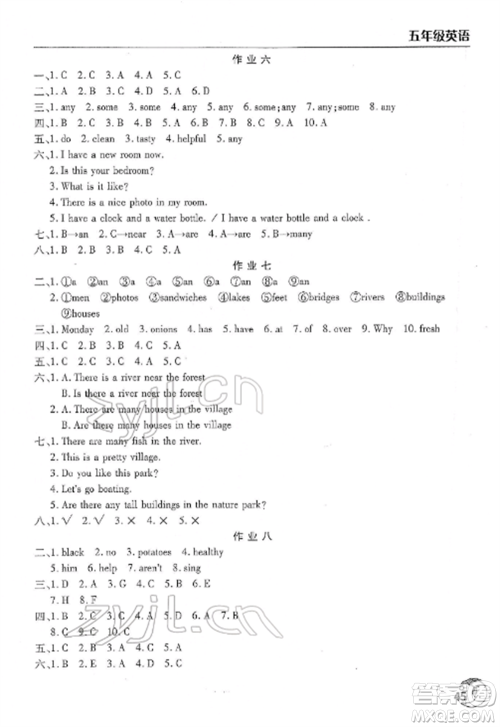 文心出版社2022寒假作业天天练五年级英语全册通用版参考答案 文心出版社2022寒假作业天天练五年级英语全册通用版参考答案