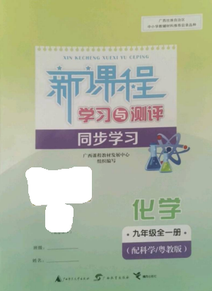 广西教育出版社2022新课程学习与测评同步学习九年级化学全册科粤版参考答案