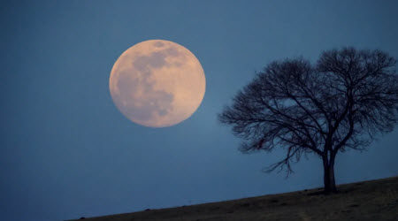 人生的一切变化一切魅力一切美都是由光明和阴影构成的材料作文800字