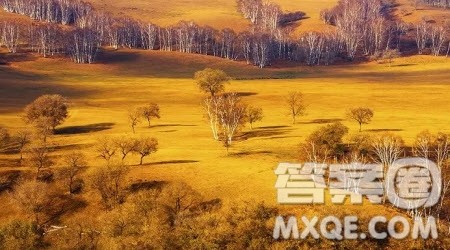 见一叶落而知岁之将暮材料作文800字 关于见一叶落而知岁之将暮的材料作文800字 见一叶落而知岁之将暮材料作文800字 关于见一叶落而知岁之将暮的材料作文800字