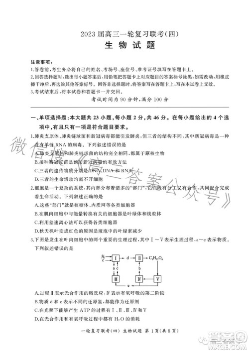 百师联盟2023届高三一轮复习联考四生物试卷答案 百师联盟2023届高三一轮复习联考四生物试卷答案