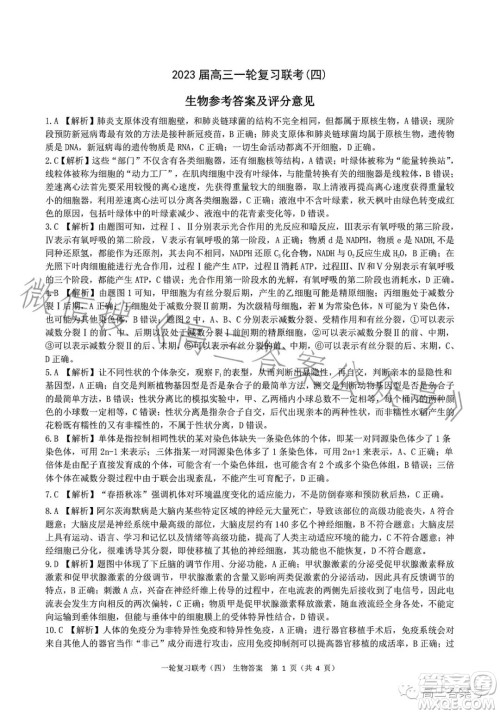 百师联盟2023届高三一轮复习联考四生物试卷答案 百师联盟2023届高三一轮复习联考四生物试卷答案
