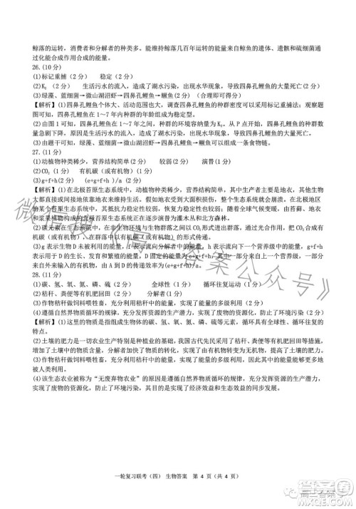 百师联盟2023届高三一轮复习联考四生物试卷答案 百师联盟2023届高三一轮复习联考四生物试卷答案