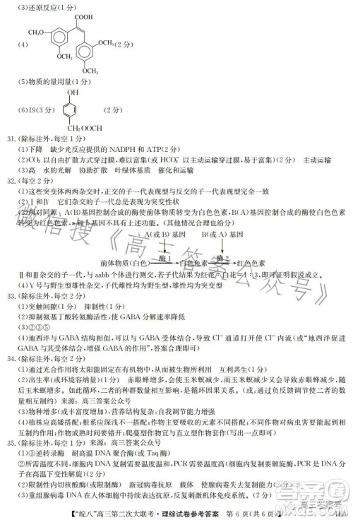 2023届皖南八校高三第二次大联考理科综合试卷答案 2023届皖南八校高三第二次大联考理科综合试卷答案