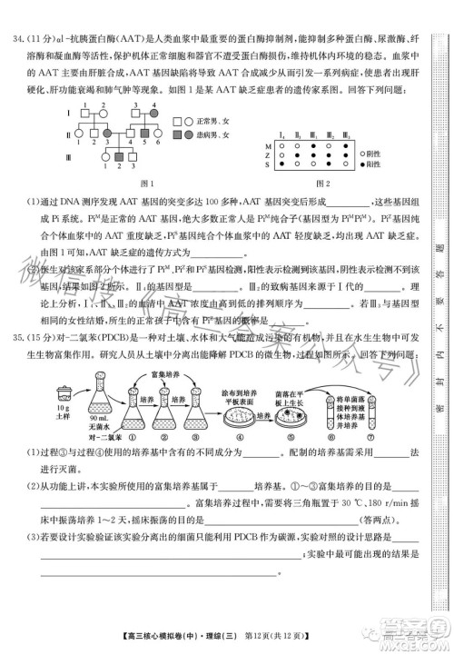 九师联盟2023届新高考高三核心模拟卷三理科综合试卷答案