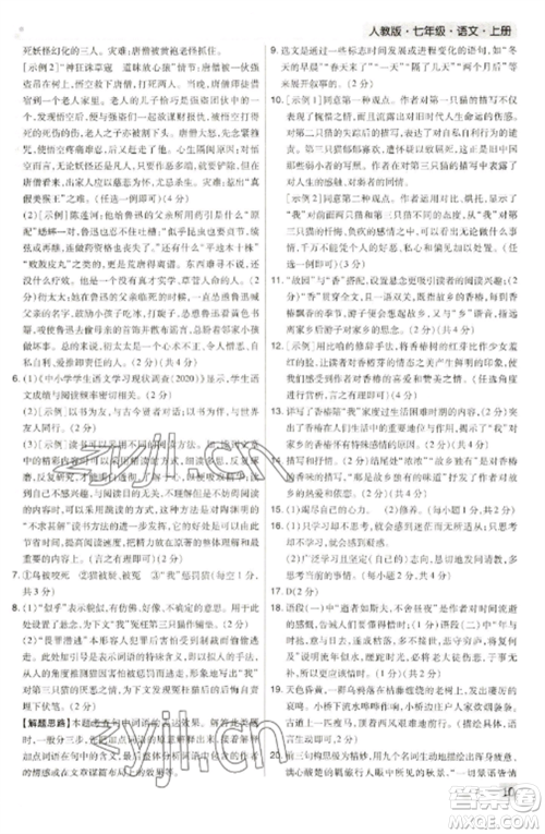 北方妇女儿童出版社2022期末考试必刷卷七年级语文上册人教版河南专版参考答案 北方妇女儿童出版社2022期末考试必刷卷七年级语文上册人教版河南专版参考答案