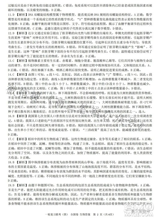 百师联盟2022届高三一轮复习联考一全国卷生物试卷答案