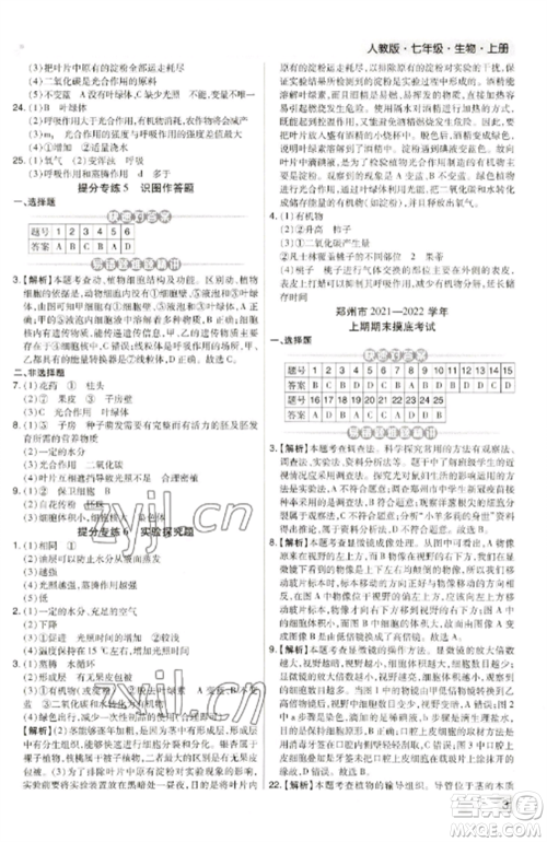 北方妇女儿童出版社2022期末考试必刷卷七年级生物上册人教版河南专版参考答案