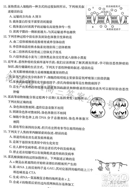 浙里卷天下2022-2023学年高三百校联考12月测试生物试卷答案 浙里卷天下2022-2023学年高三百校联考12月测试生物试卷答案