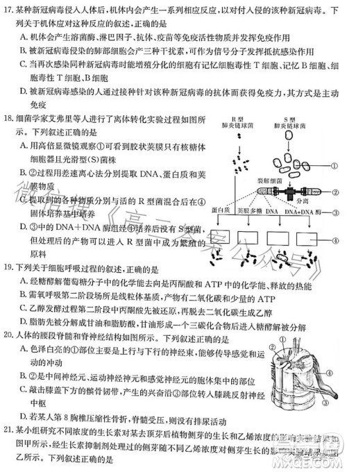 浙里卷天下2022-2023学年高三百校联考12月测试生物试卷答案 浙里卷天下2022-2023学年高三百校联考12月测试生物试卷答案