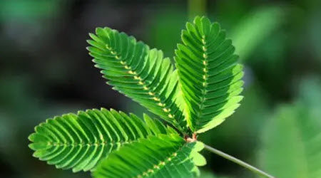 行走在春风里作文600字 以行走在春风里为题作文600字