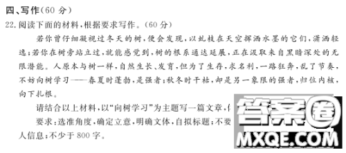 向树学习主题作文800字 关于向树学习的主题作文800字