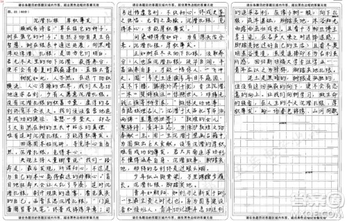 向树学习主题作文800字 关于向树学习的主题作文800字