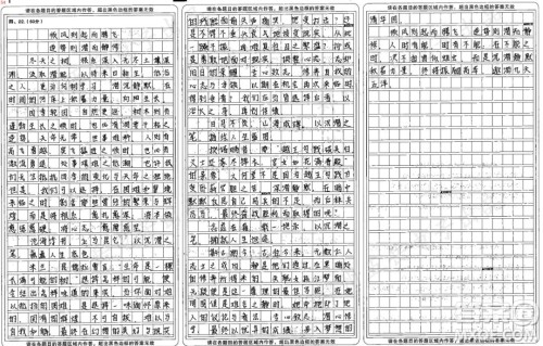 向树学习主题作文800字 关于向树学习的主题作文800字