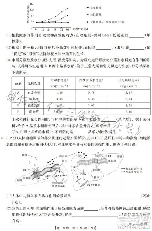 2023金太阳高三12月联考23217C生物试卷答案