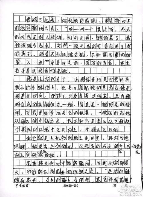 生活的缝隙里有花开作文600字 关于生活的缝隙里有花开的作文600字