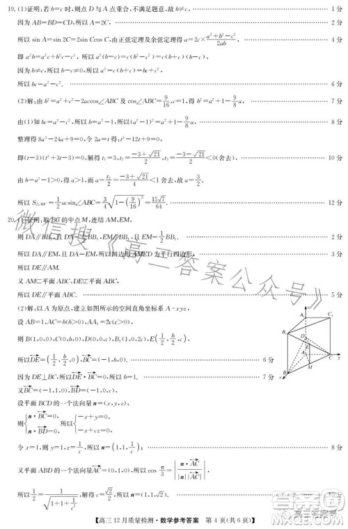 九师联盟2023届高三12月质量检测数学试卷答案 九师联盟2023届高三12月质量检测数学试卷答案