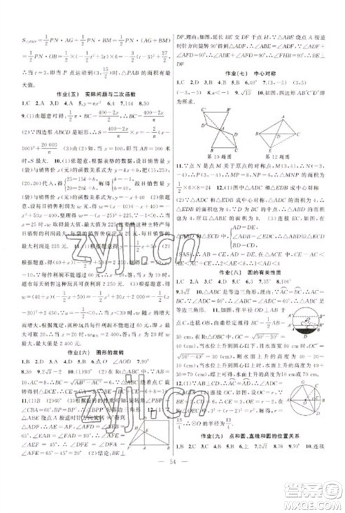 新疆青少年出版社2023寒假作业九年级数学人教版参考答案