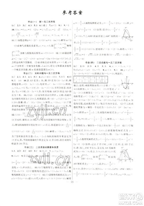 新疆青少年出版社2023寒假作业九年级数学人教版参考答案