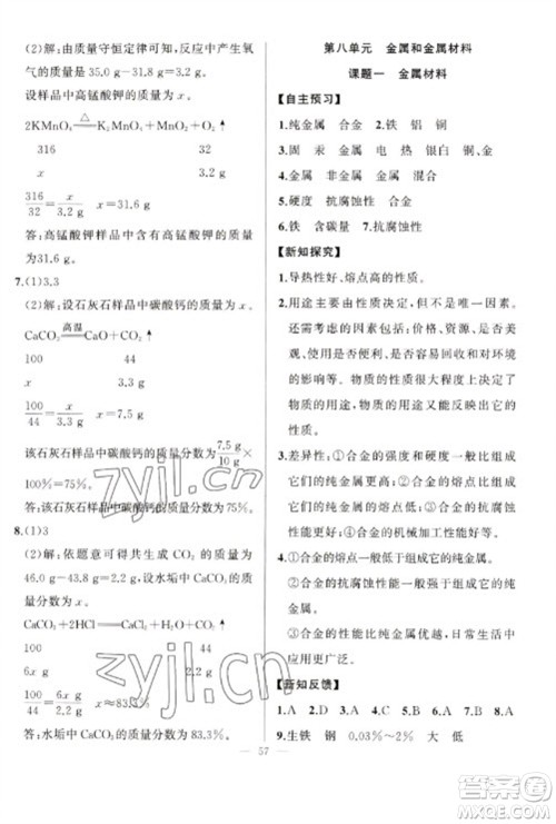 新疆青少年出版社2023寒假作业九年级化学人教版参考答案