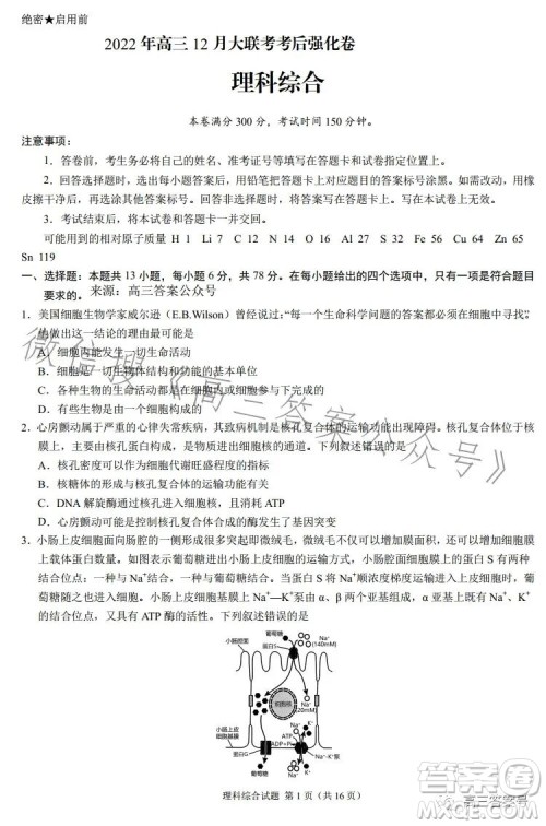 2022年高三12月大联考考后强化卷理科综合试卷答案 2022年高三12月大联考考后强化卷理科综合试卷答案