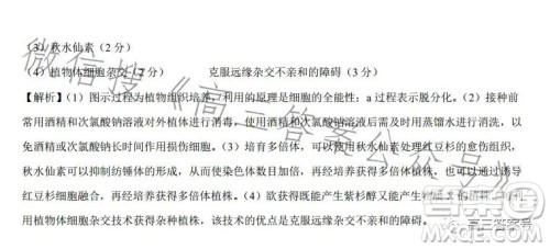 2022年高三12月大联考考后强化卷理科综合试卷答案 2022年高三12月大联考考后强化卷理科综合试卷答案