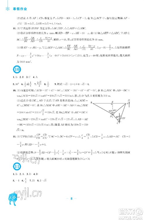 安徽教育出版社2023寒假作业九年级数学通用版参考答案