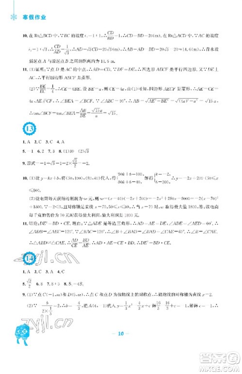 安徽教育出版社2023寒假作业九年级数学通用版参考答案 安徽教育出版社2023寒假作业九年级数学通用版参考答案