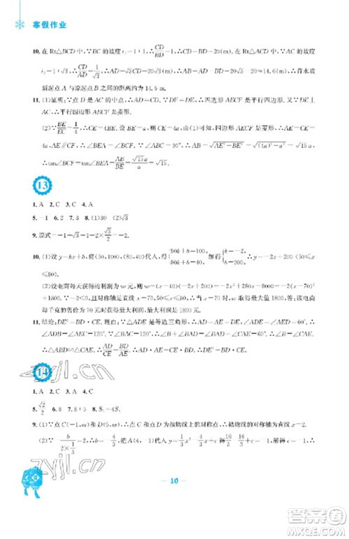 安徽教育出版社2023寒假作业九年级数学通用版参考答案