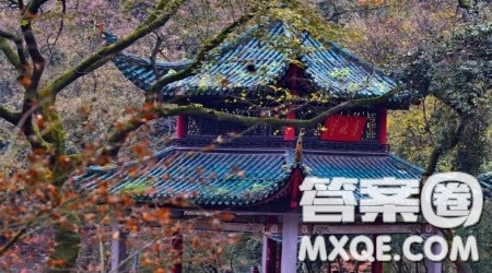 陶醉于山水作文600字 以陶醉于山水为题作文600字