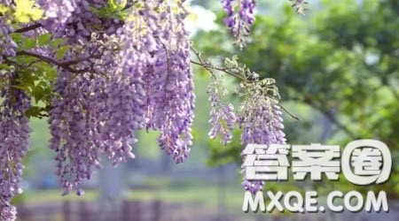 我眼中的家风作文600字 关于我眼中的家风为题作文600字 我眼中的家风作文600字 关于我眼中的家风为题作文600字